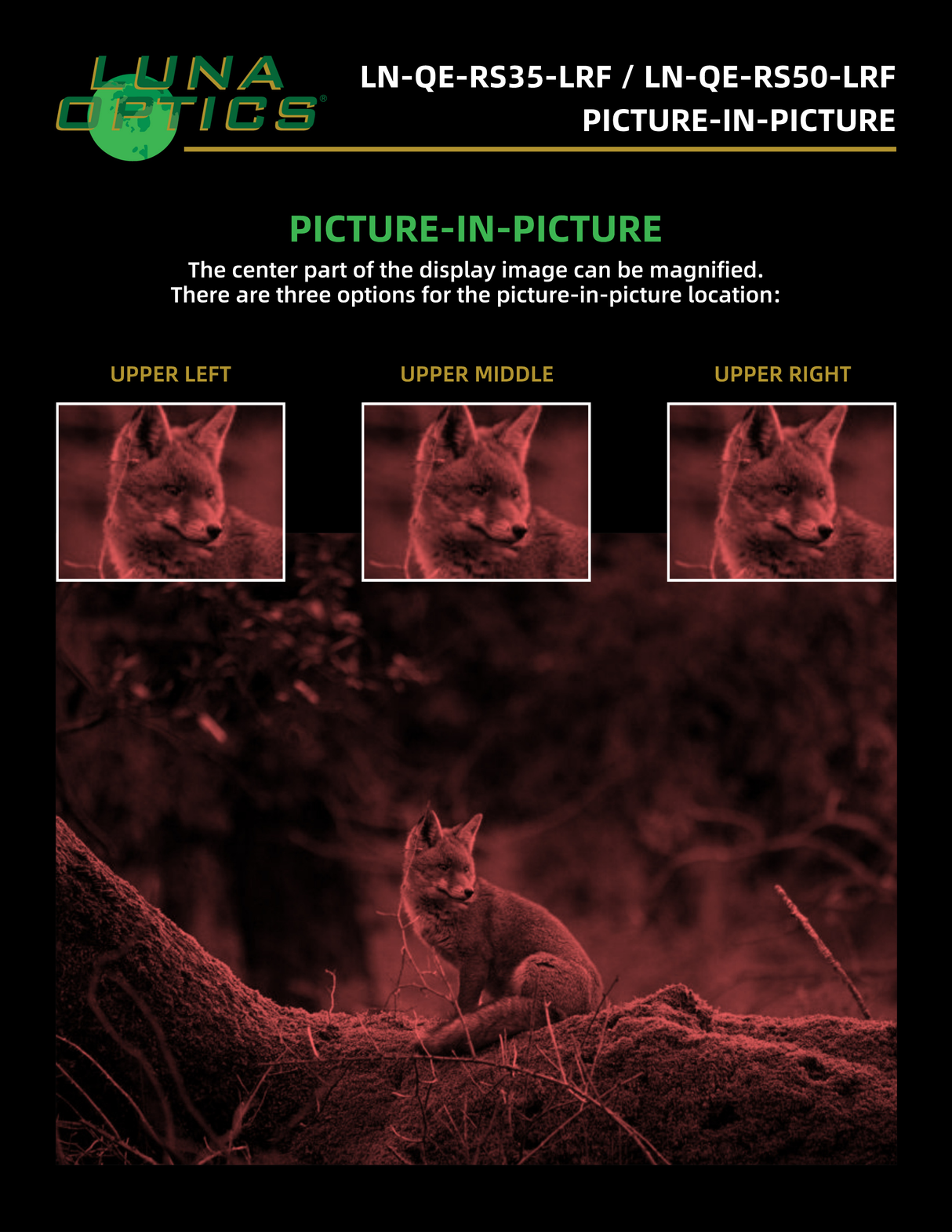 Luna Optics QE-RS50-LRF infographic — File13.1 PictureinPicture