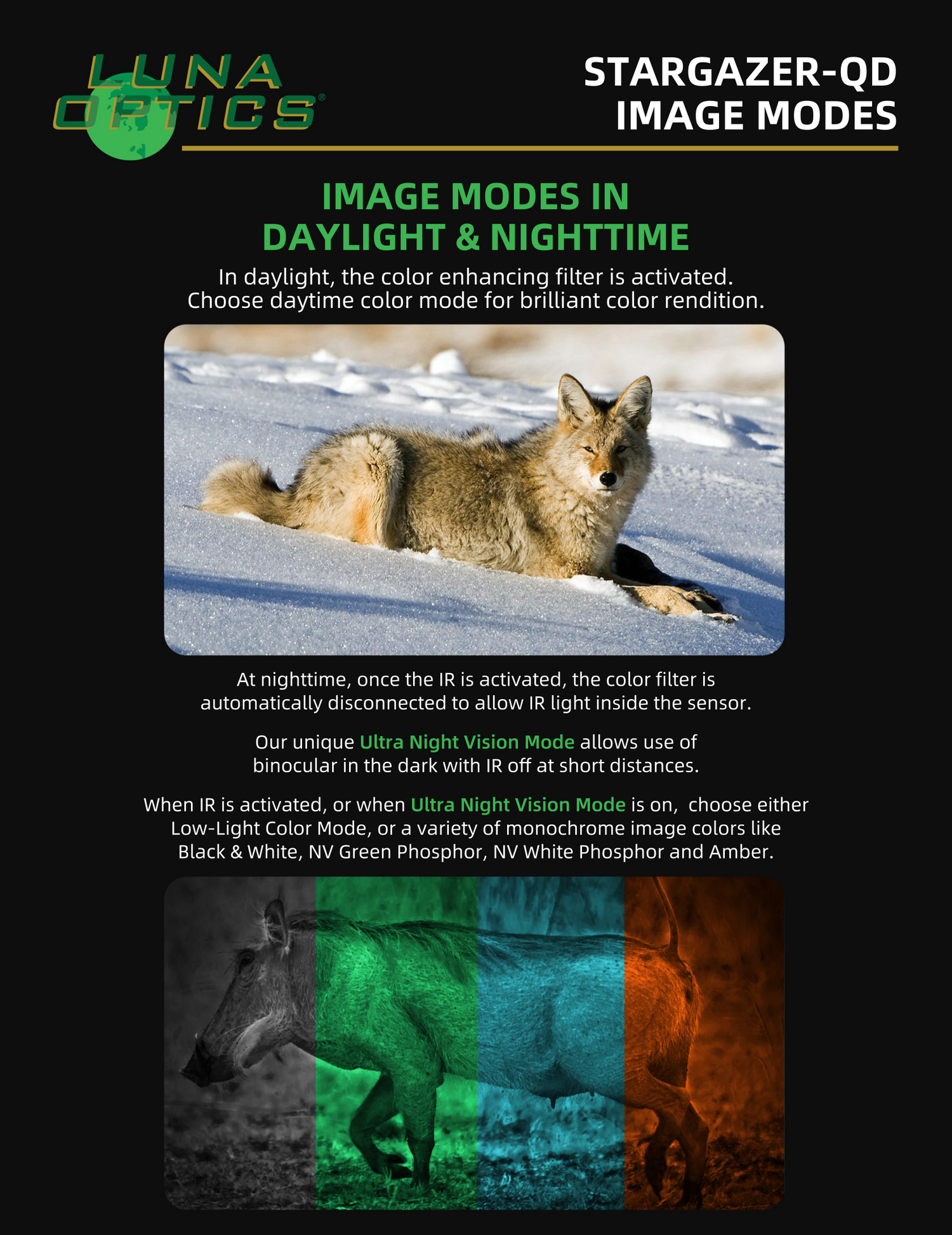 Luna Optics Quantum Digital 6-36x50 Day/Night Vision Binocular Stargazer-QD