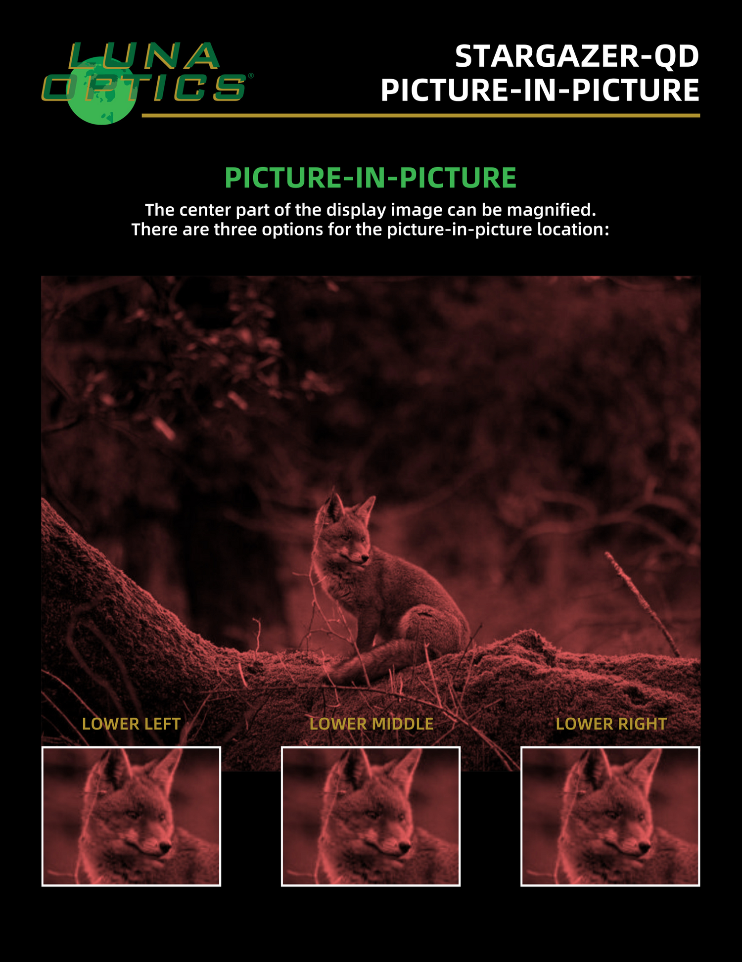 Luna Optics Quantum Digital 6-36x50 Day/Night Vision Binocular Stargazer-QD