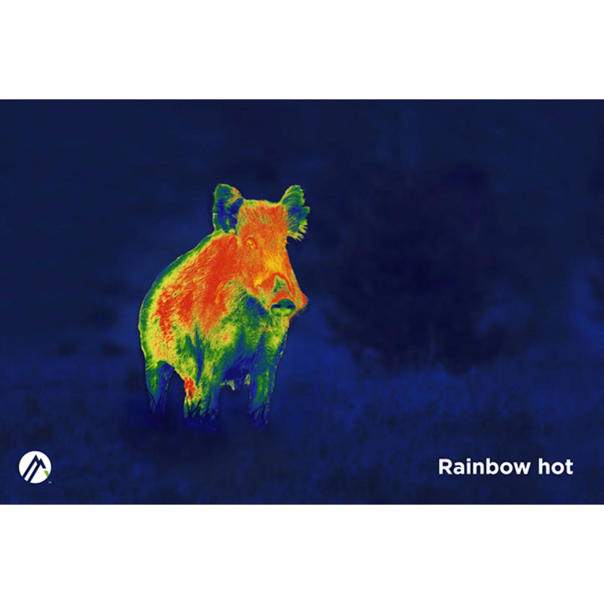 Alpen Apex 25mm Thermal Monocular | ATM25 | 811803036024