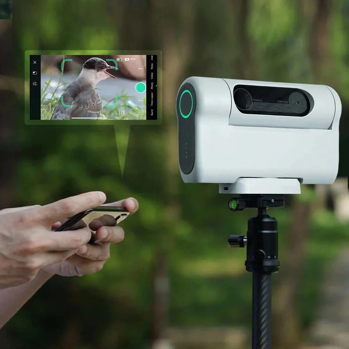 DWARF II Deluxe Edition | ES-DWARFIIDEL