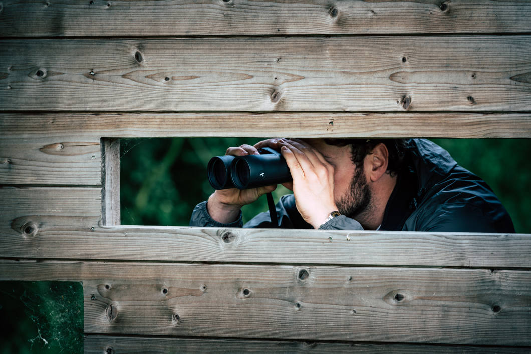 Birder observing through Kite Optics binoculars from a wooden bird hide