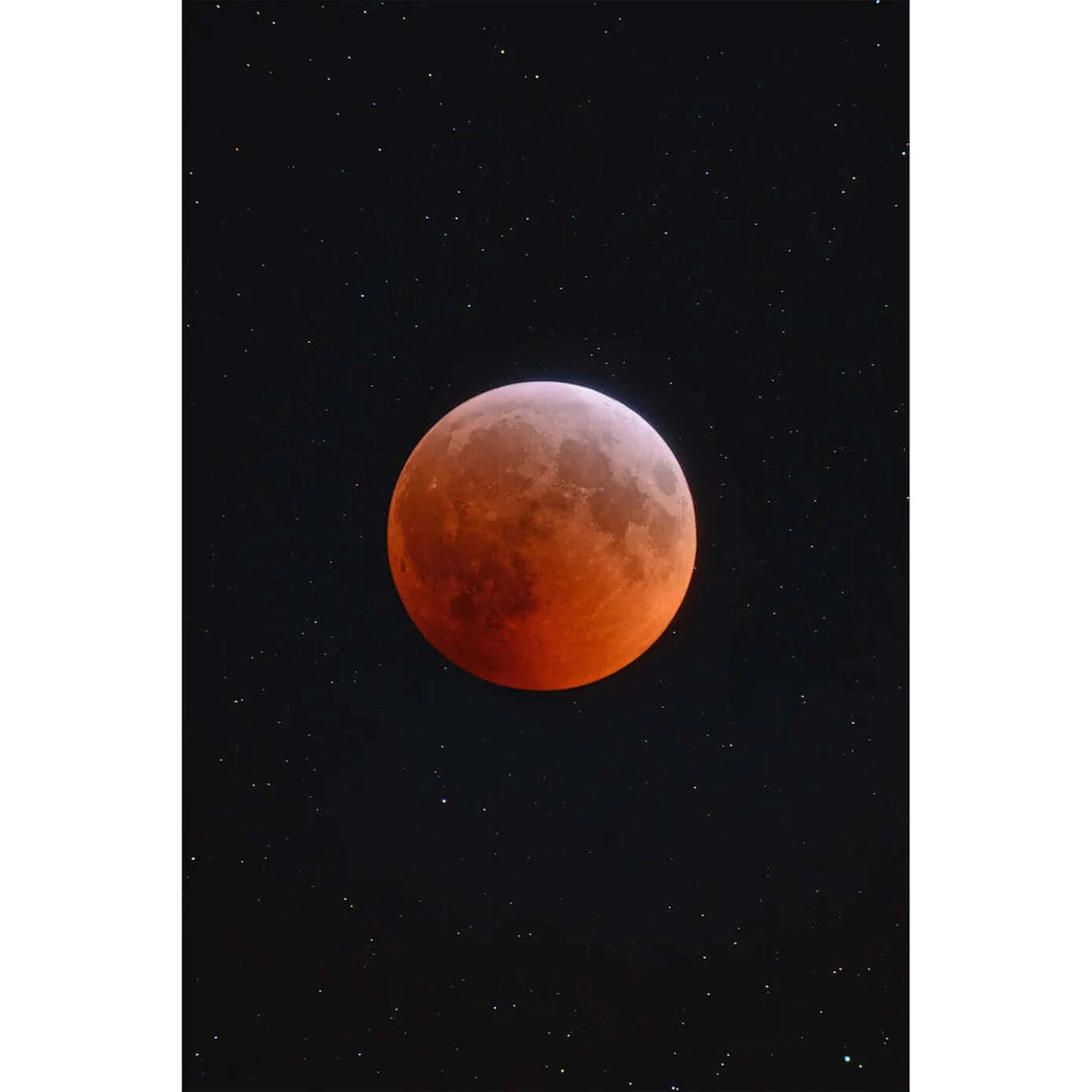 Vixen SD81S FPL-53 ED Refractor Telescope | ES26146 | 4955295261468