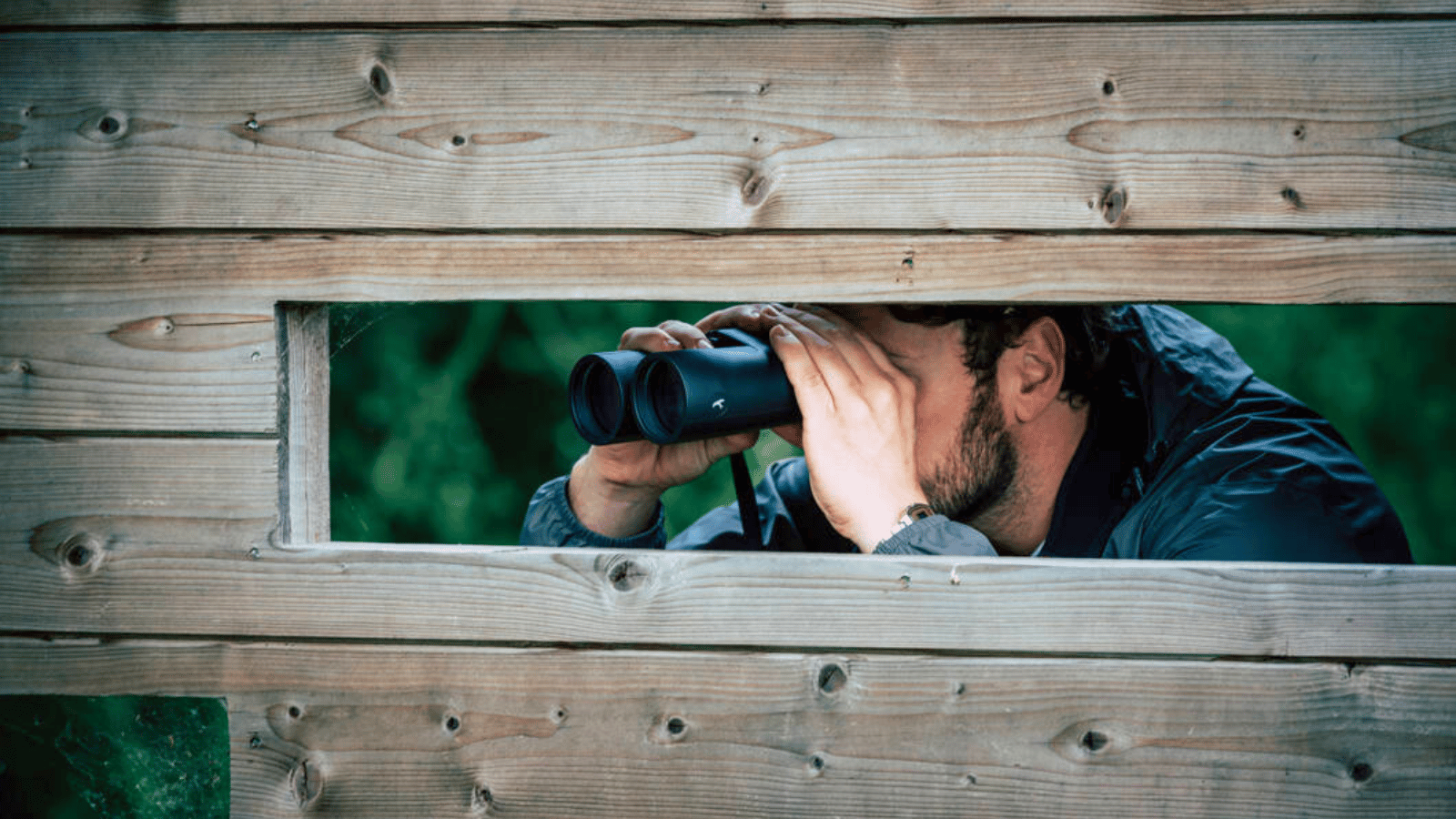 Birder observing through Kite Optics Lynx HD+ binoculars from a wooden bird hide overlooking wetlands
