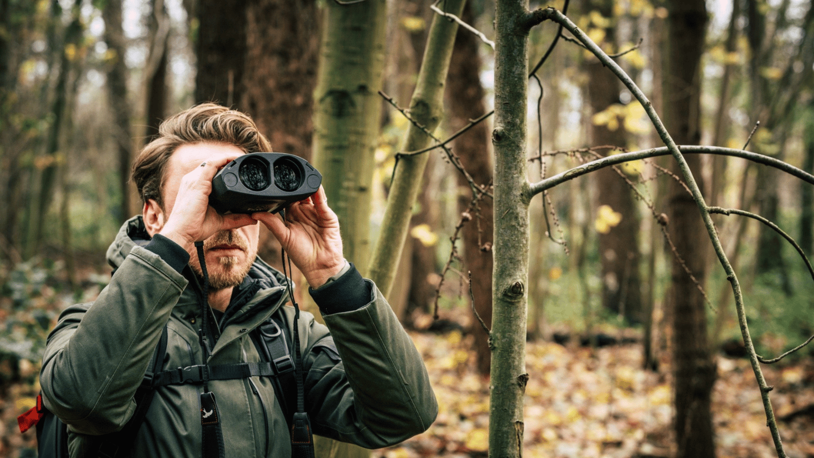 Birder observing through Kite Optics APC 50 ED stabilized binoculars handheld in a deciduous woodland
