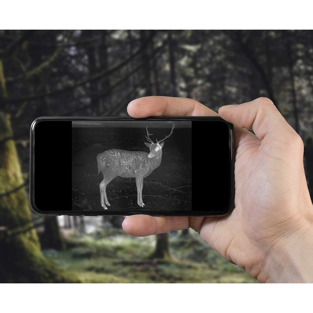 Alpen Apex thermal Wi-Fi streaming demonstration showing a deer in white-hot thermal view on a smartphone screen held in a forest setting