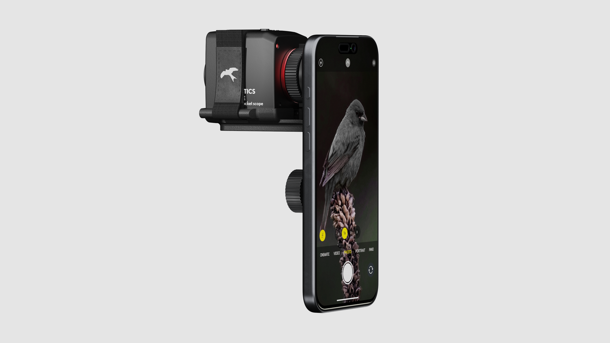 Kite Optics Stabi One 10x20 stabilized monocular mounted on smartphone with bird shown on phone screen through digiscoping
