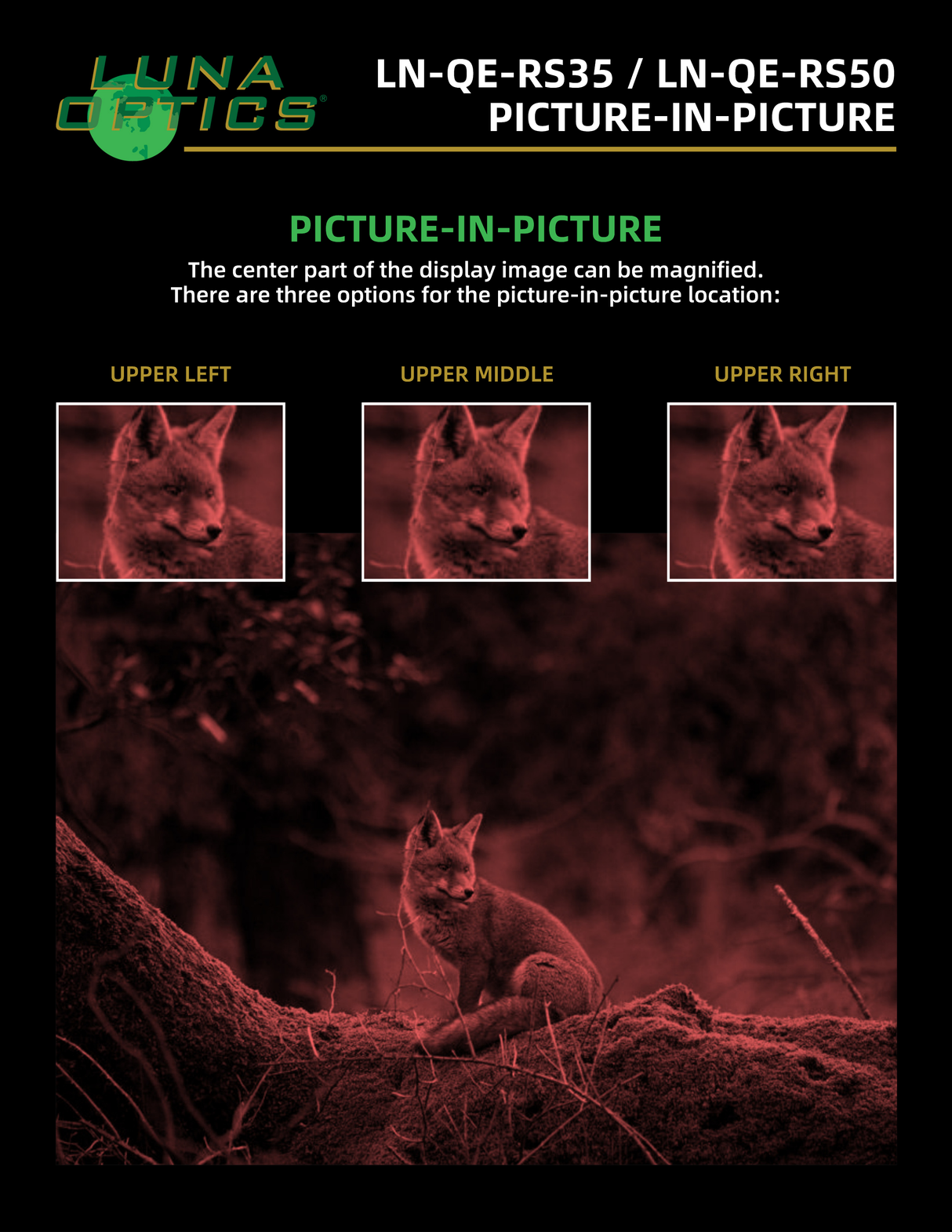 Picture-in-picture display mode on the QE-RS35 riflescope