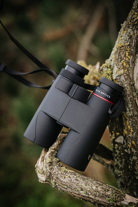 Kite Optics Lynx HD+ binoculars resting on a tree branch in a woodland setting