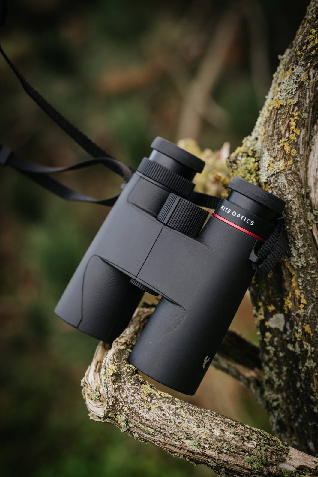Kite Optics Lynx HD+ binoculars resting on a tree branch in a woodland setting
