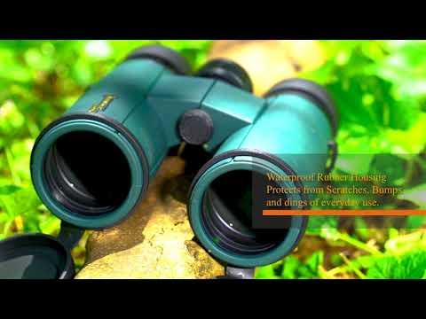 Alpen Kodiak 10x42 Binoculars